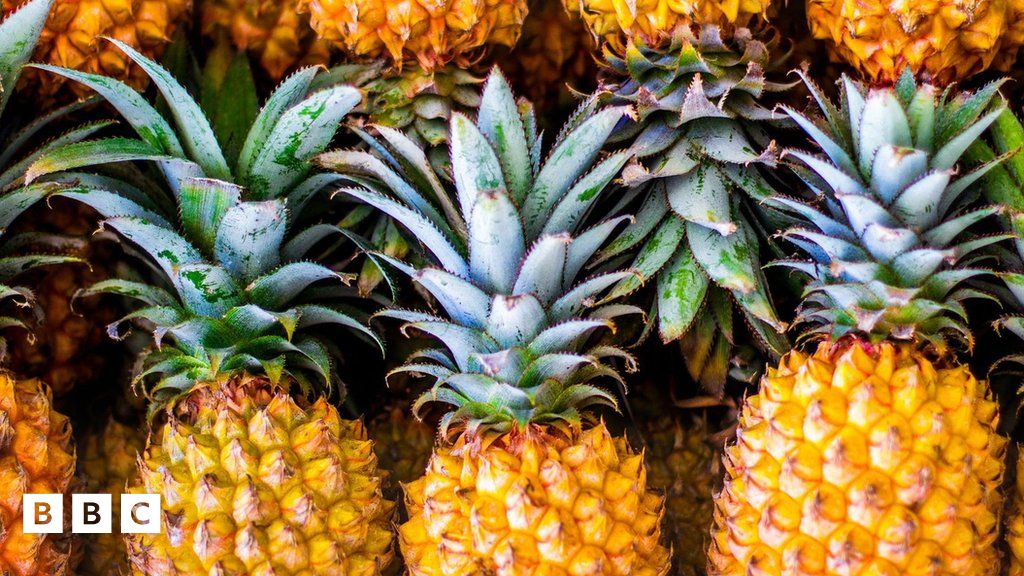 Food Quiz: How well do you know your healthy foods? - BBC Newsround