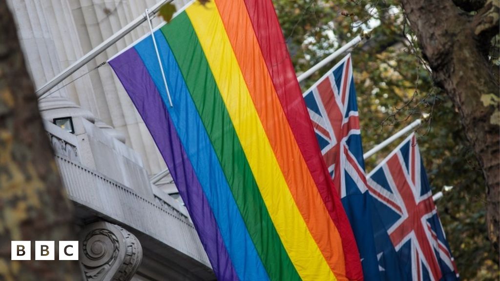 Australian government approves same-sex marriage - BBC Newsround