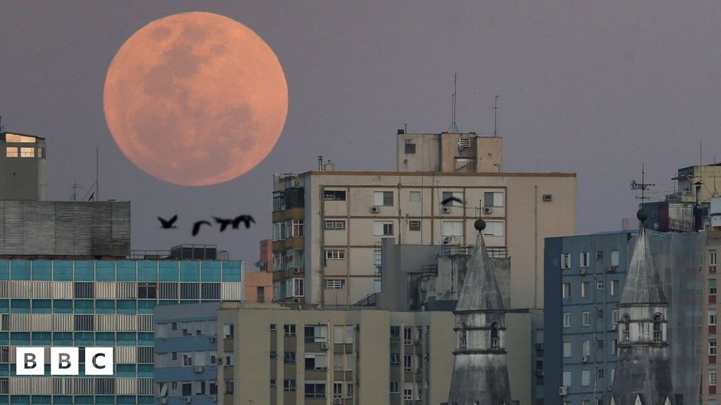 Blue Moon 2023 Pics of the super Blue Moon from around the world BBC