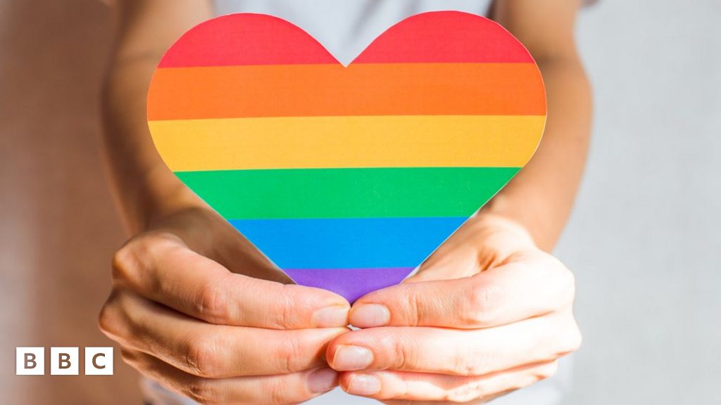 Pride: What is it and why do people celebrate it? - BBC Newsround