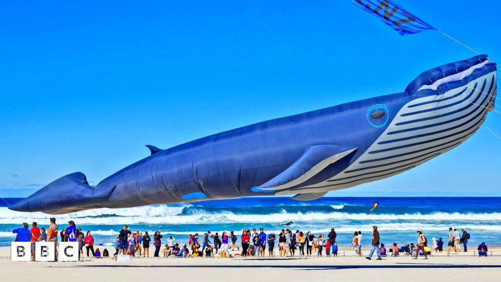 Festival of the Winds: Amazing kites at Australian festival - BBC Newsround