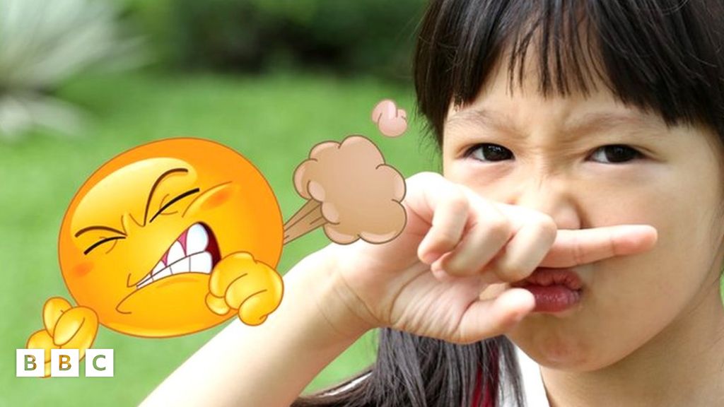 What The Fart: India holds first ever farting contest in Surat - BBC ...