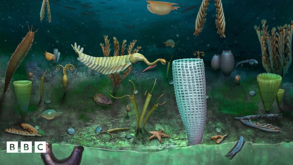 Extraordinary new fossils over 460 million years old found in Wales