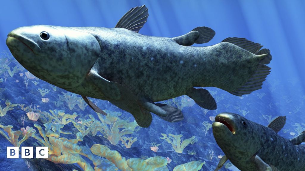The real life ancient secrets of the rare Animal Crossing fish