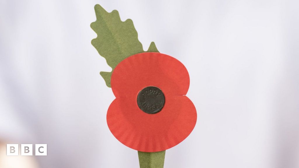 Remembrance Day poppy to go plastic free - BBC Newsround