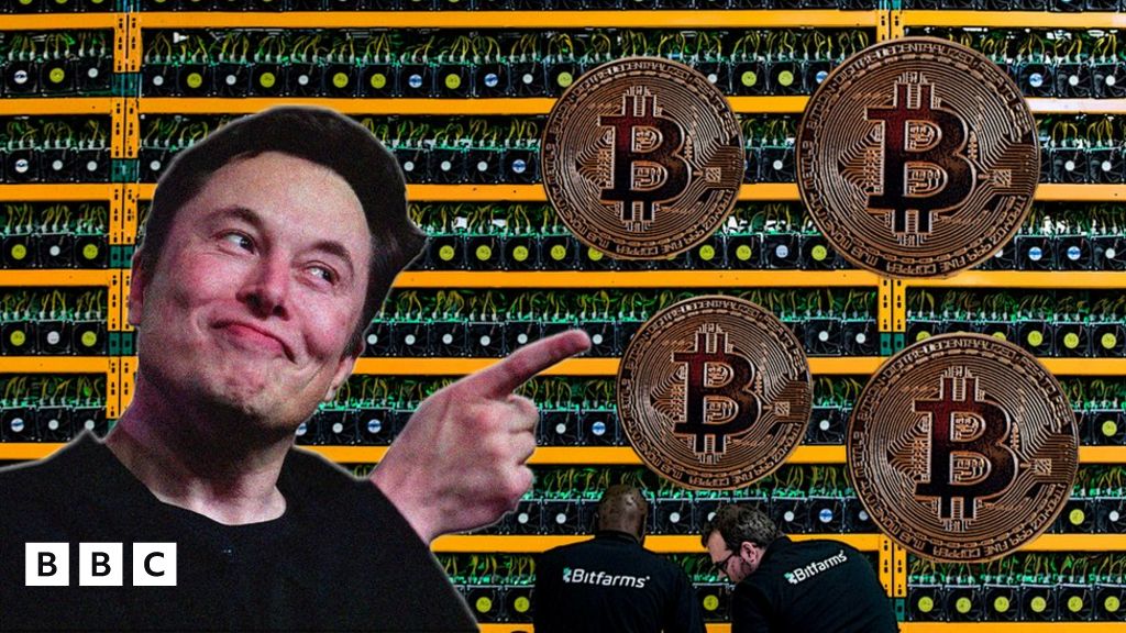 _116833942_muskbitcoin.jpg