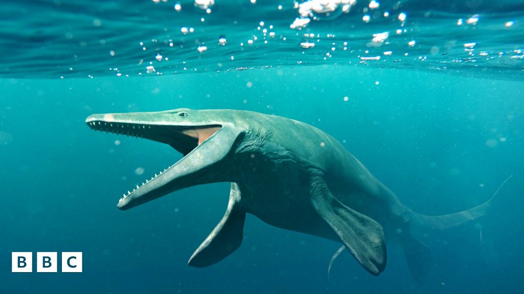 Basilosaurus Scientists discover fossil of 35millionyearold ancient