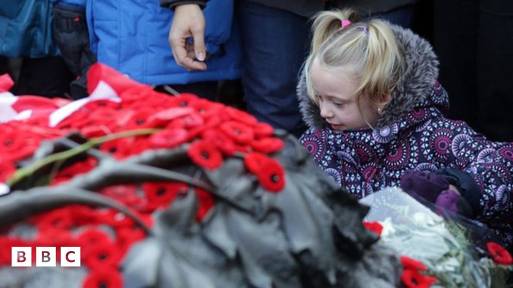 Remembrance Day Why it's important BBC Newsround