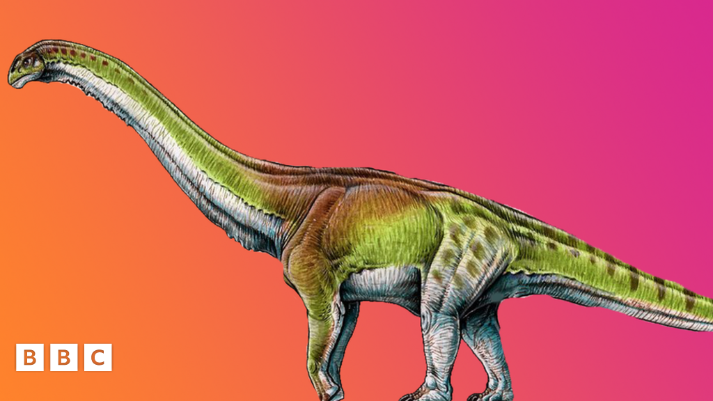 Biggest Dinosaur Discovery Marks Five Years BBC Newsround biggest-dinosaur-discovery-marks-five-years-bbc-newsround
