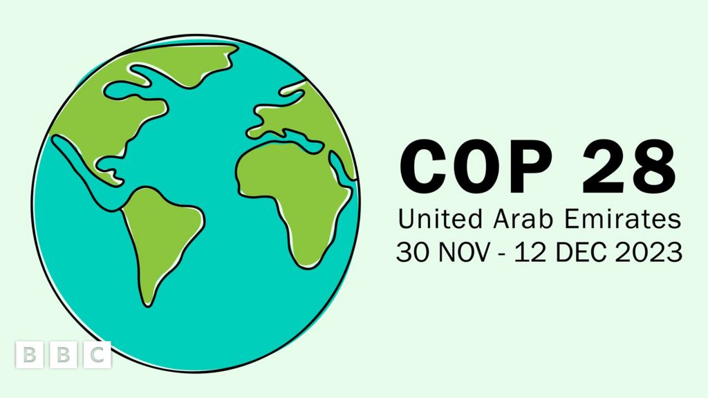 COP28: What is it and what can we expect to see happen? - BBC Newsround