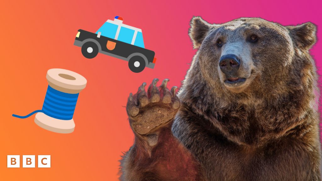 Bear in car released by police in Nevada after trashing interior BBC