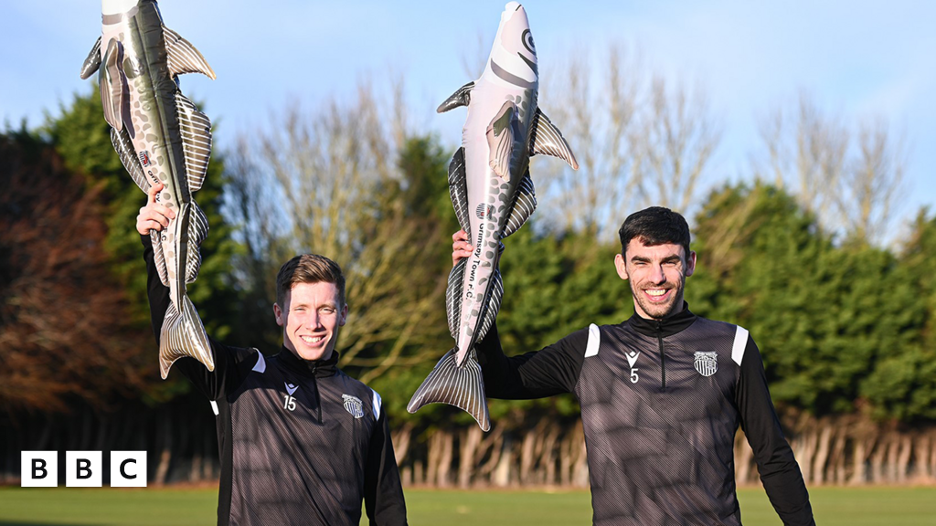 Harry the Haddock Why was the inflatable banned at Grimsby vs