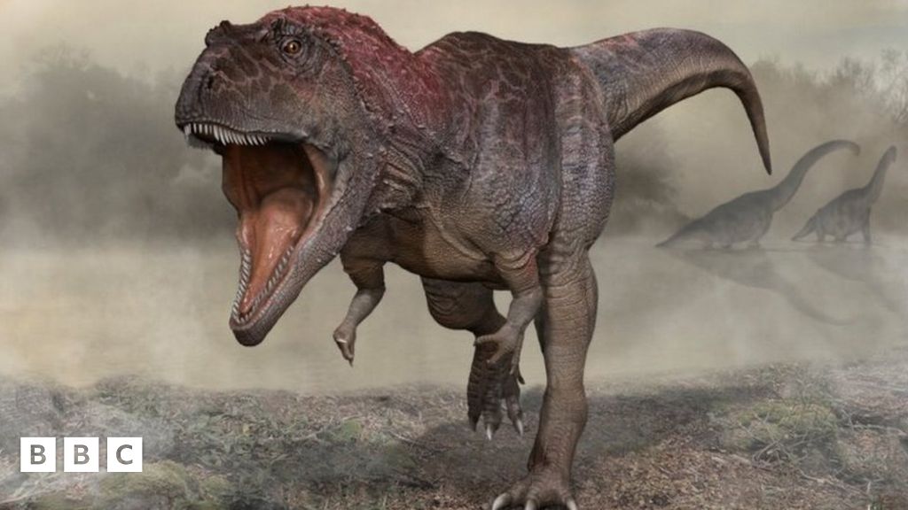 Study casts doubt on the idea of 'big fluffy T. rex' - BBC News