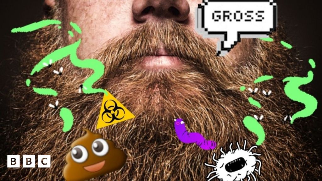 'Dogs are cleaner than beards' say Swiss scientists BBC Newsround