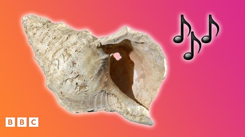 Ancient conch shell musical instrument played for first time in 17,000 ...