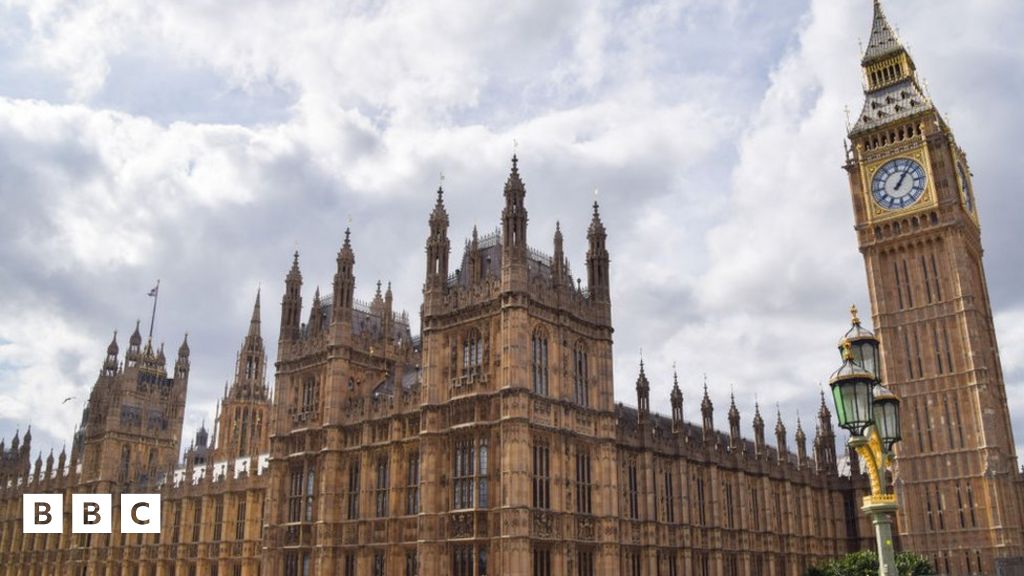 How are UK laws made? BBC Newsround