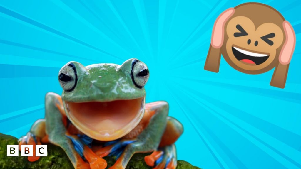 Frogs in Savoie face pond eviction over 'noise pollution' BBC Newsround