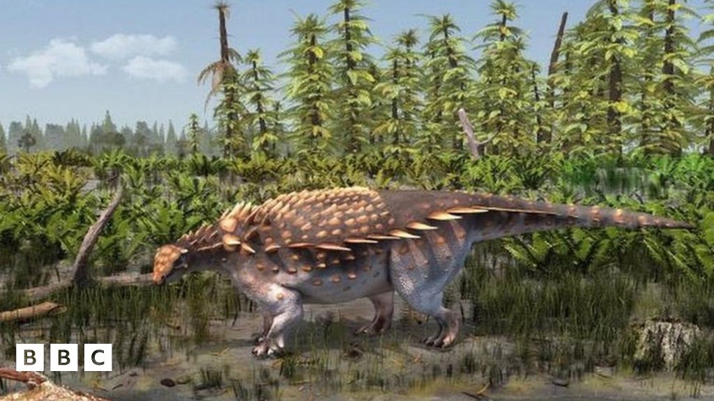 Ankylosaur New dinosaur species discovered on Isle of Wight BBC