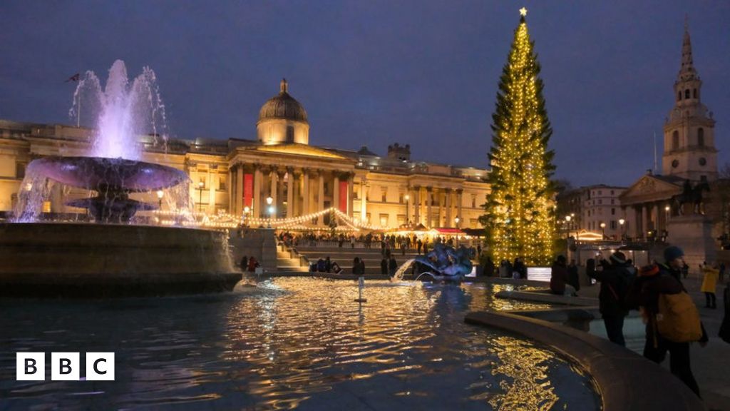 Trafalgar Square tree London's famous Christmas tree on its way from