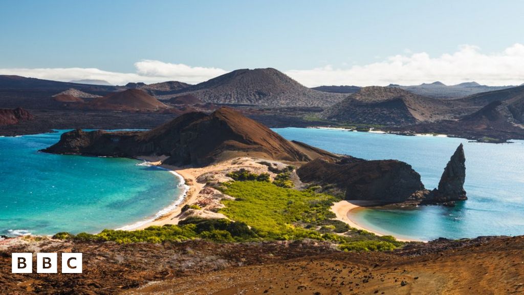 A desconhecida e ameaçada 'Galápagos' da Europa - BBC News Brasil