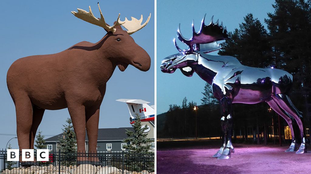 World's tallest moose statue Who will be the winner? BBC Newsround