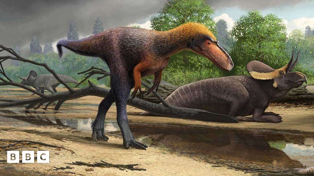 Study casts doubt on the idea of 'big fluffy T. rex' - BBC News