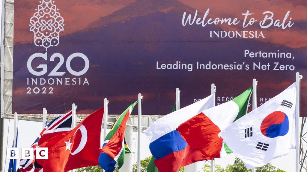 G20 summit What is it and why are world leaders meeting? BBC Newsround