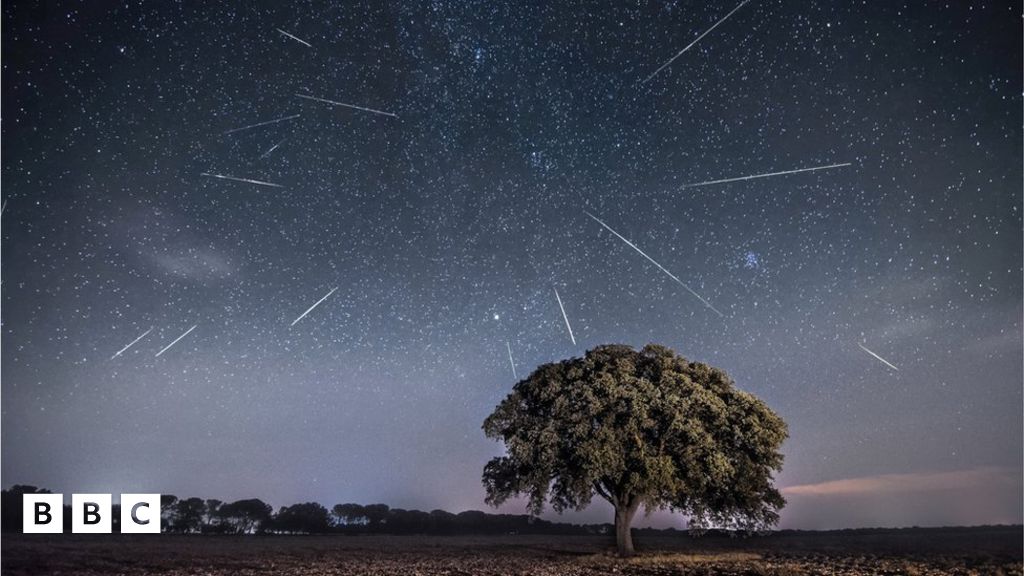 Perseid Meteor Shower 2023 When is it? How can I see it? BBC Newsround
