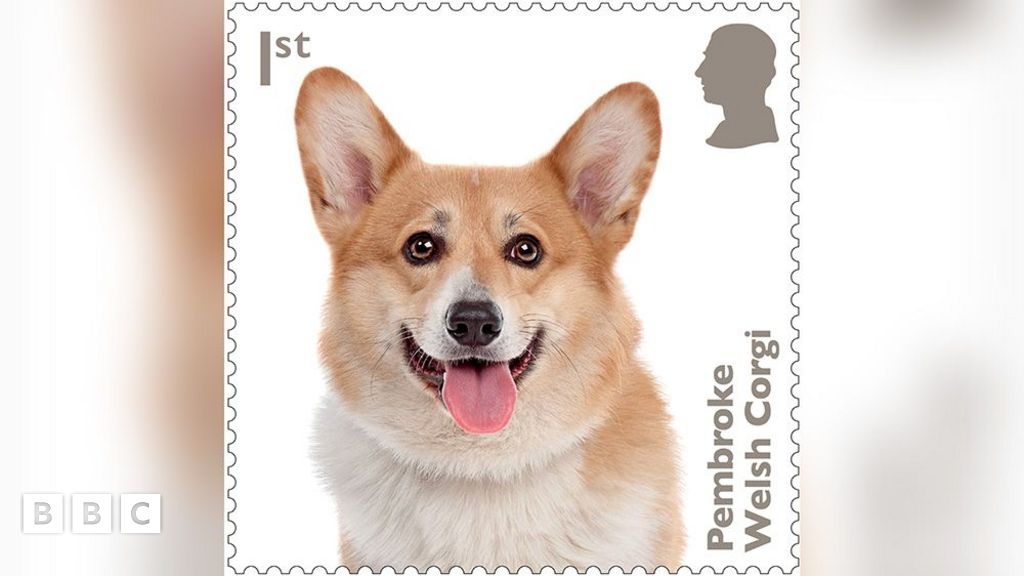 corgi stamp