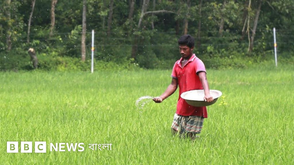 'মধ্যপ্রাচ্যের ওপর নির্ভরতা কমিয়ে চীন ও মিশরের মতো বিকল্প দেশগুলোর সাথে যোগাযোগ করছে সরকার'