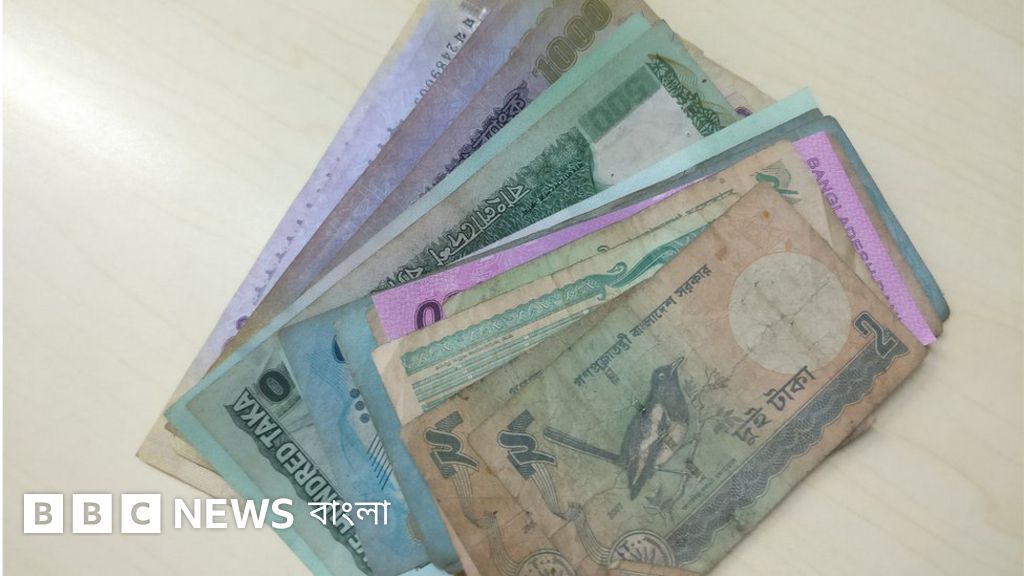 Uydagi mushuk surati Yoqimli sargish