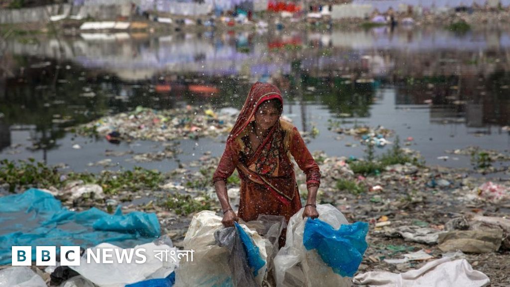 Ijtimoiy jinsiy partiyalar