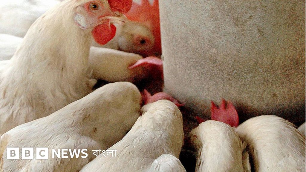 Yuqori sifatli dada-qiz porno