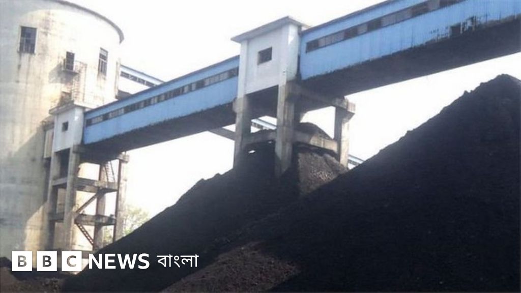 Sakuraso mushuk porno