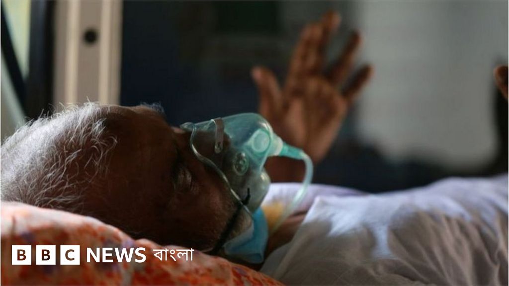 Kotibani ovlash porno onlayn