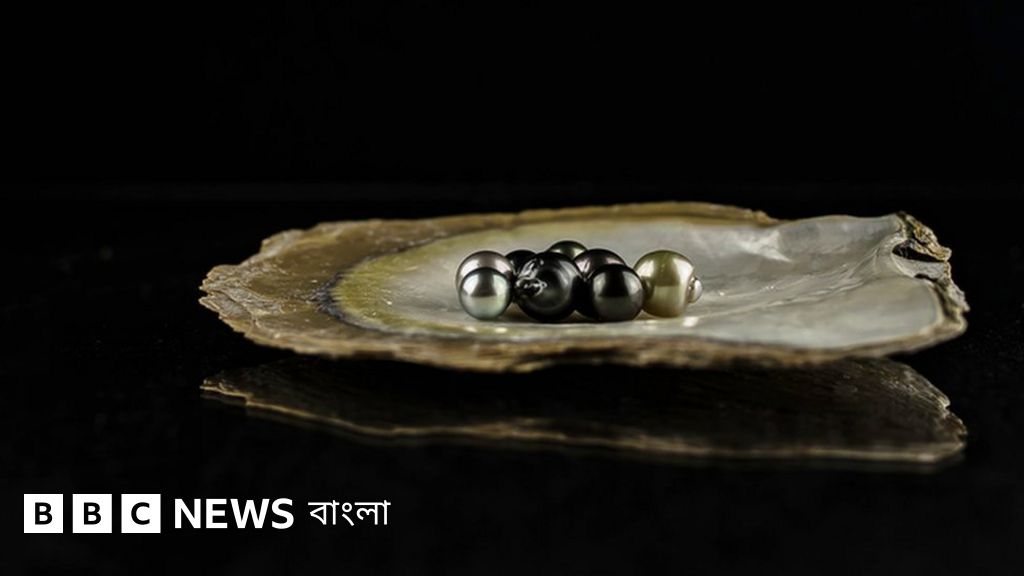 Er xotinini ruscha sikishini tomosha qilmoqda.