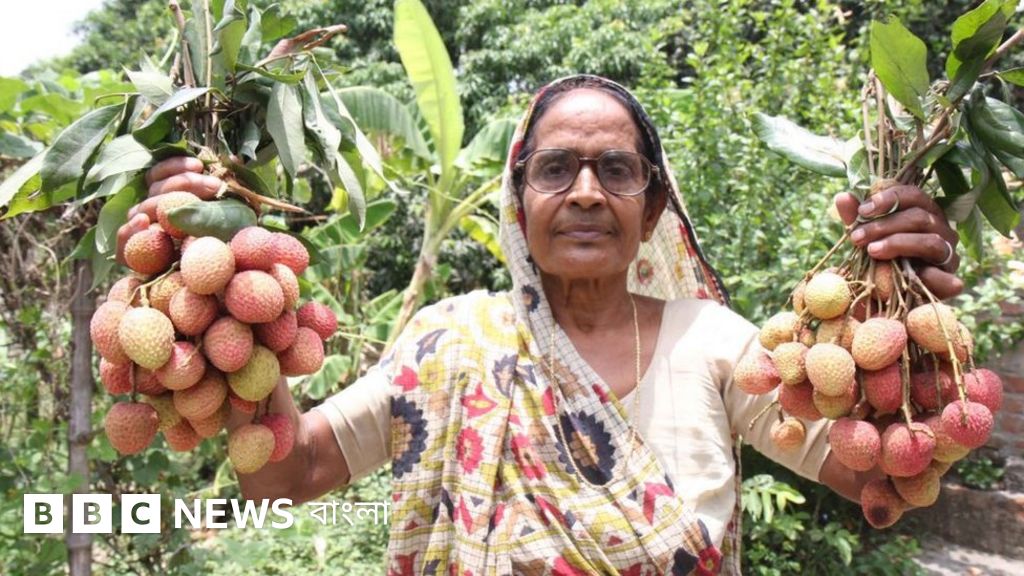 Onam, ogzingga mening sikimni ol.