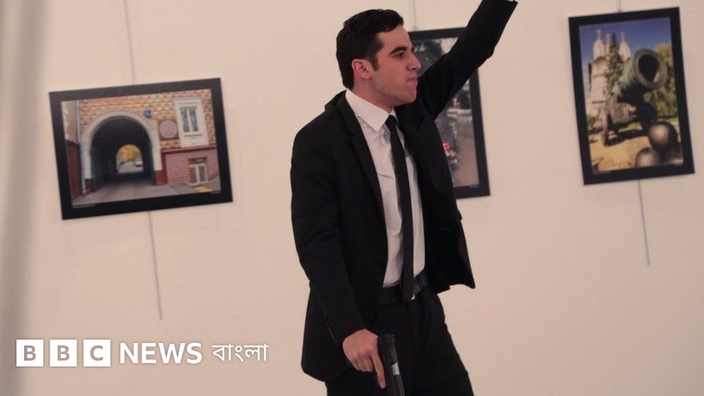 Qiziqarli mushuk surati