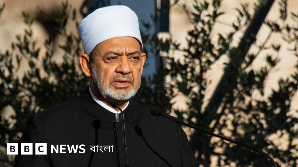 Jigarrang kozli fohisha, meni aqldan ozdirma