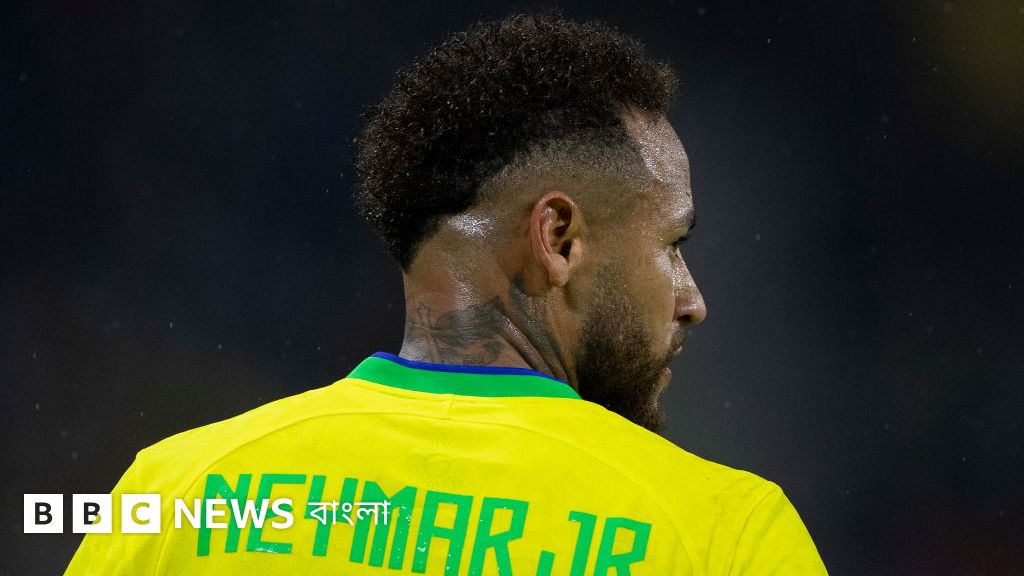 Katta braziliyalik qattiq eshaklar fotosuratlari Katta braziliyalik qattiq eshaklar fotosuratlari