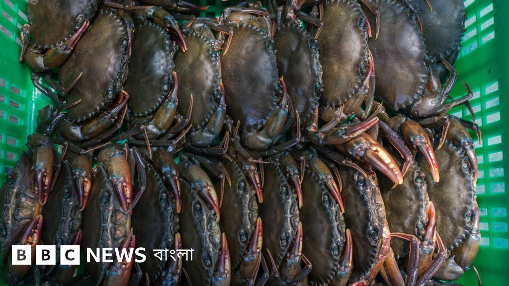 Vika Tsyganova porno video