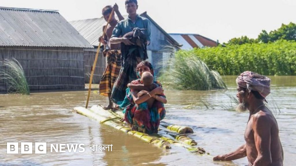 Toliq va etuk ayollarning jinsi