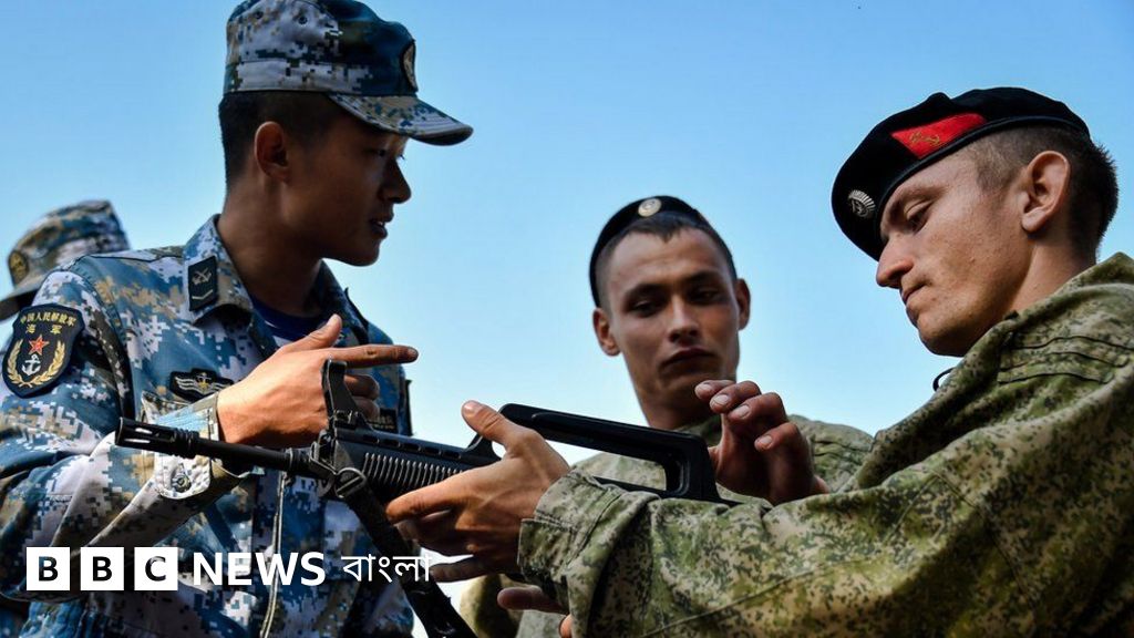 Mushuk va eshak video yaqin planda