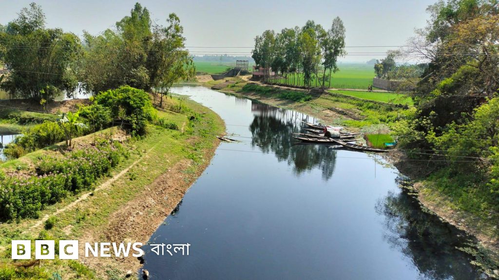 Skrotumning chozilishi