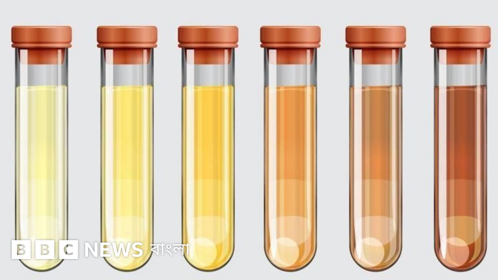 Ular past odamlarni sikadilar