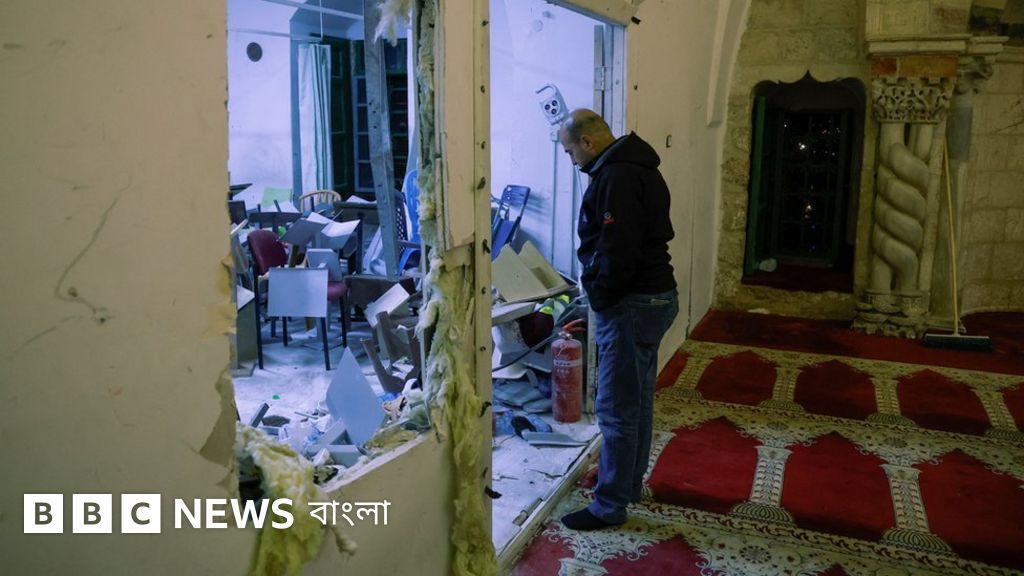 Afrikalik yogoch jinsiy aloqa Afrikalik yogoch jinsiy aloqa