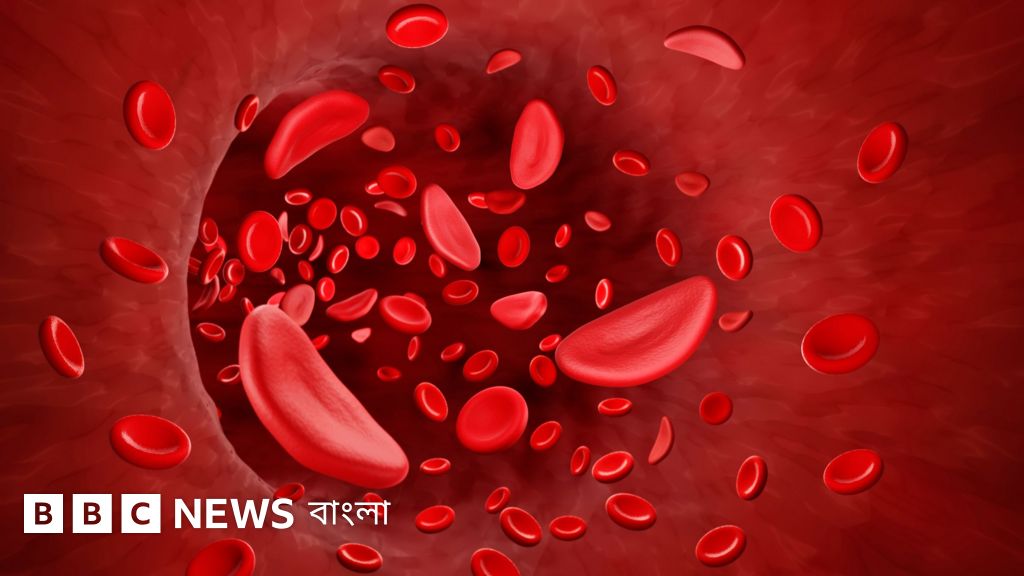 Universitetdan qiz porno video