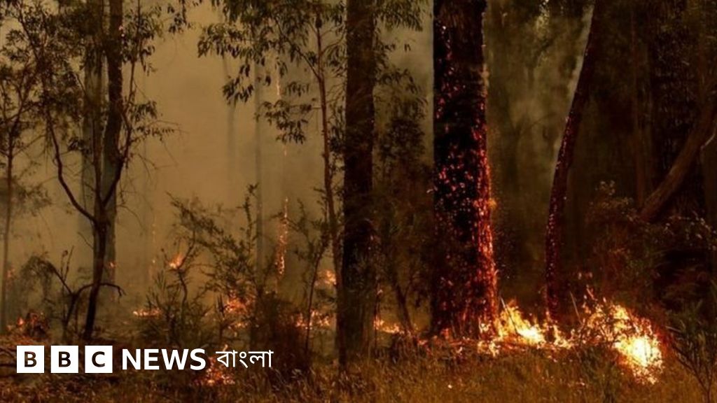 Telefon raqamlari bilan Orsk fohishalar