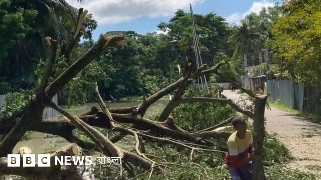 Bitiruv paytida porno onlayn Ayollar qanday qiziqarli yashirin kameraga ega