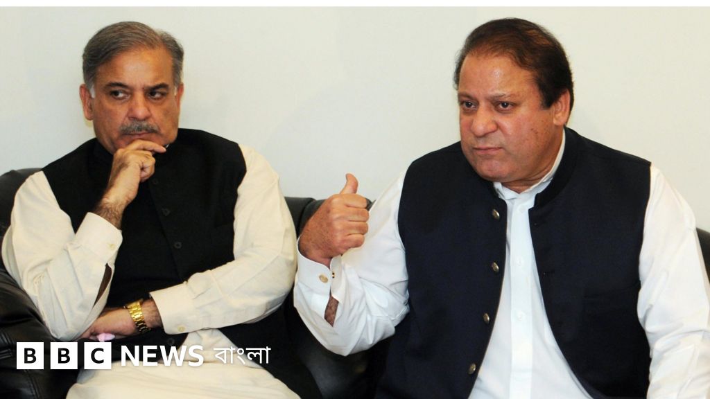 Bikinidagi jozibali dumbalar